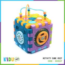 Activity Cube 0527  - AC0527
